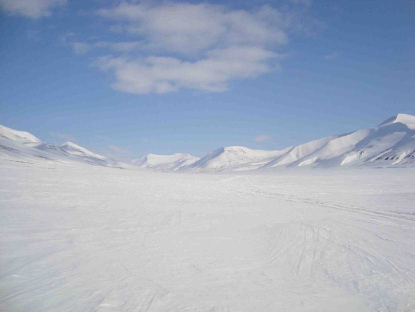 snow.jpg